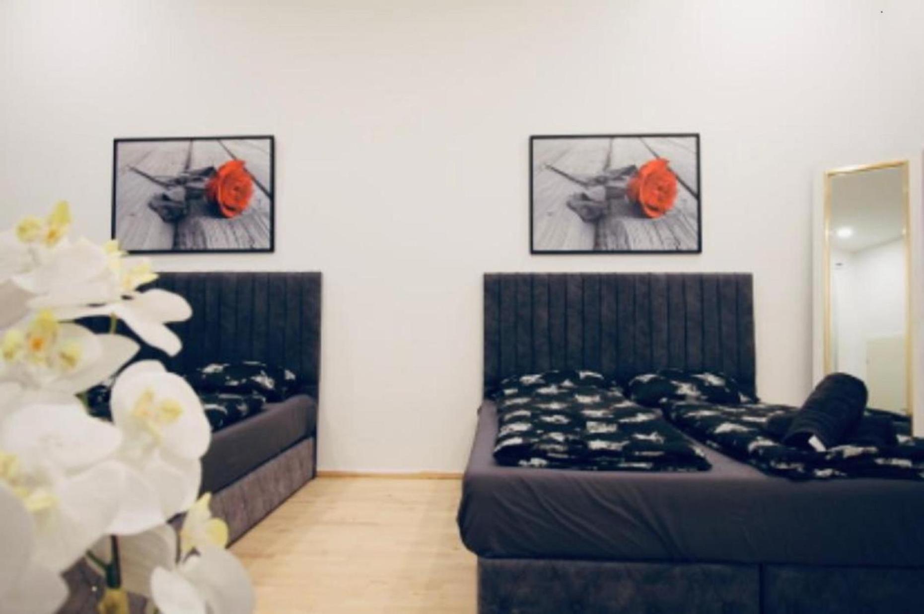 Lovely 2br With Modern Amenities Near Augarten Wien